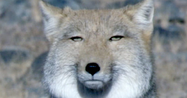 ざわちん、4/27発売のデビューシングル「まだ見ぬセカイ」詳細＆最新ビジュアル公開