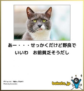 金持ちが死ぬほど羨ましい人