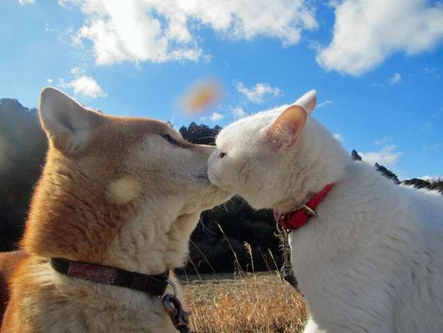 ファーストキスの場所はどこでしたか？
