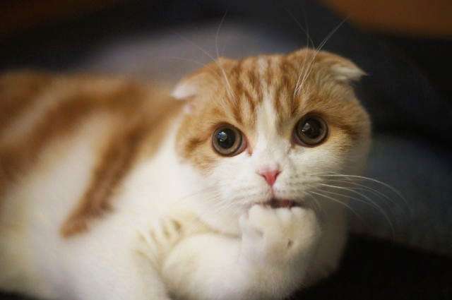 乳がんに罹ったら