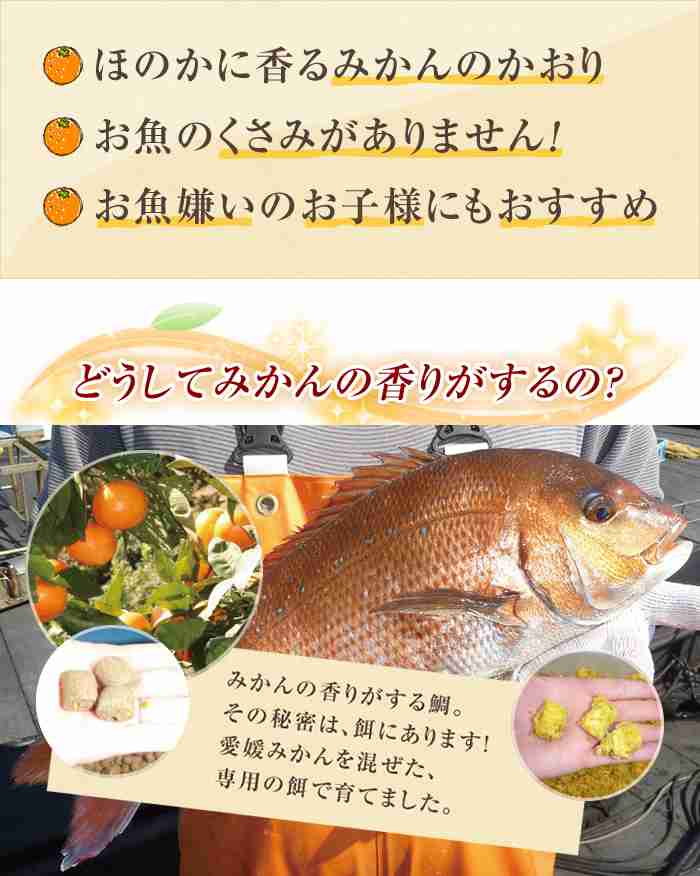 魚嫌いな人でも食べられる魚料理