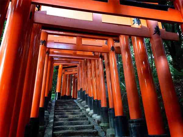 『歴史秘話ヒストリア』好きな人いますか?