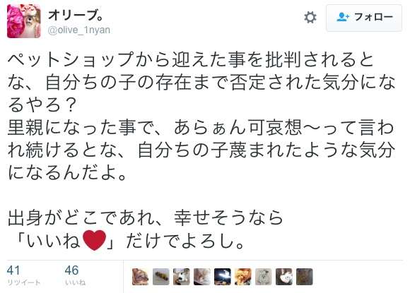 ＜命の価値がたった78円、胸がはりさけそう＞猫の殺処分に関する少女の作文に反響