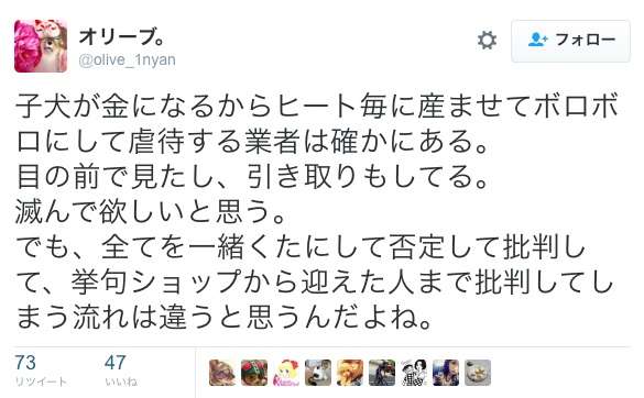 ＜命の価値がたった78円、胸がはりさけそう＞猫の殺処分に関する少女の作文に反響