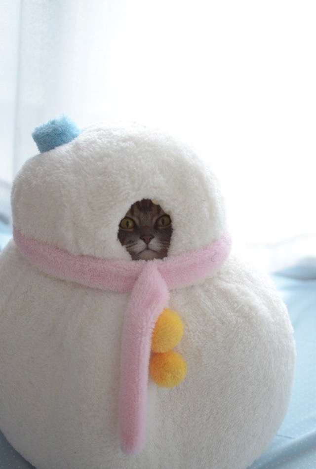 昔取った杵柄