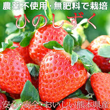 昔取った杵柄