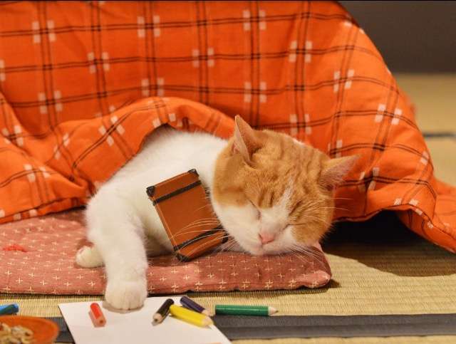 昔取った杵柄