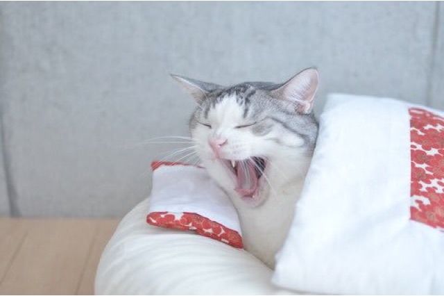 昔取った杵柄