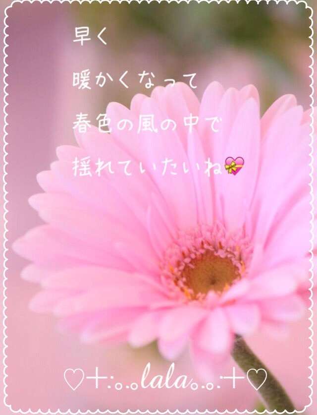 昔取った杵柄