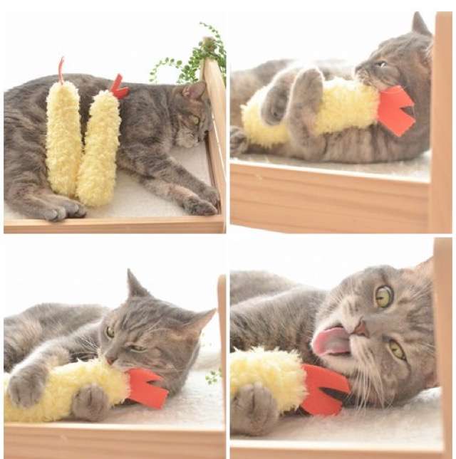 昔取った杵柄