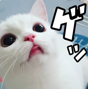昔取った杵柄