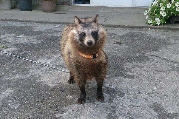 今の生活に満足してますか？