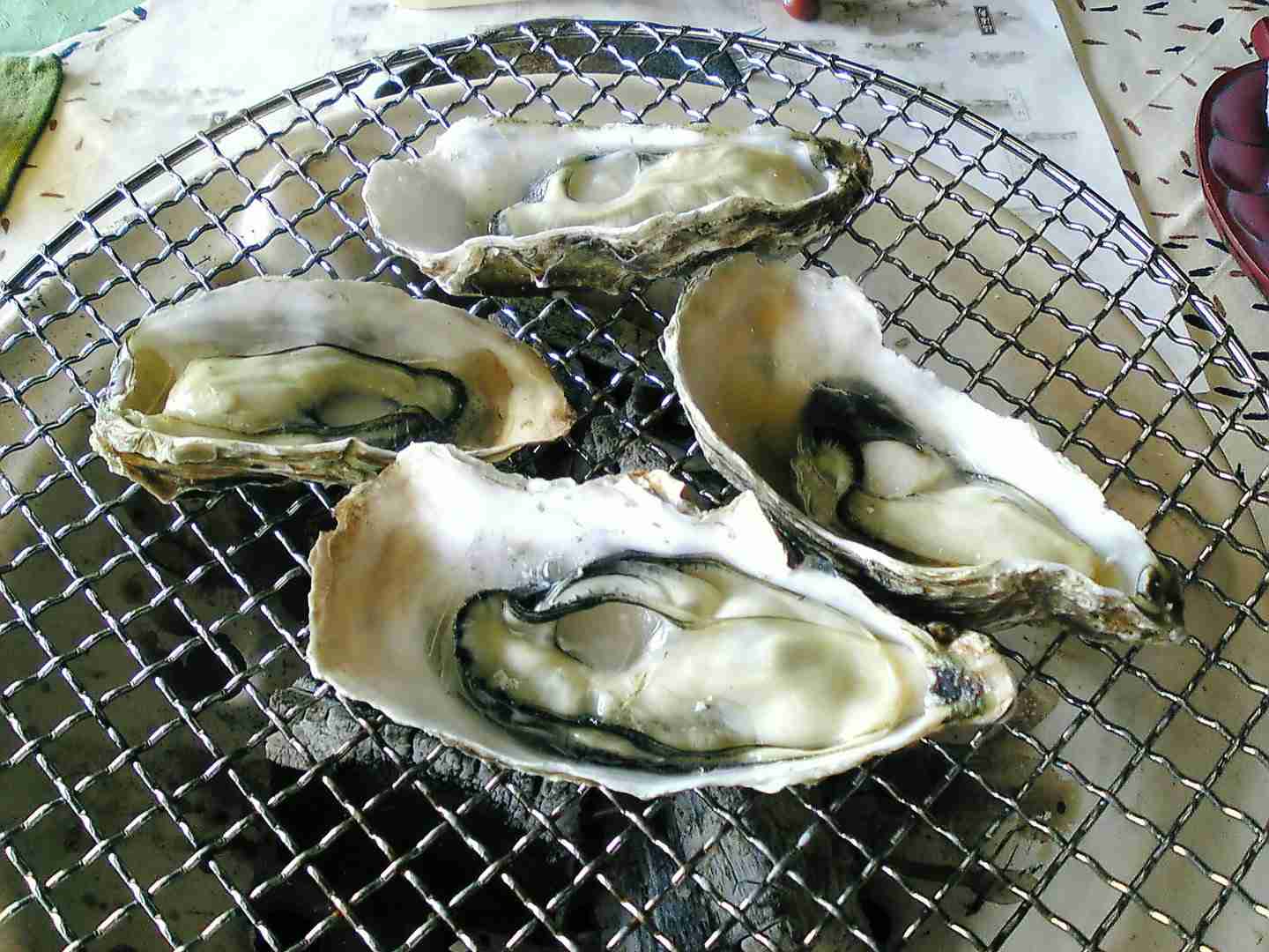 牡蠣が好きすぎる人！
