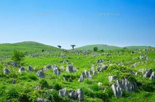 山口県のイメージは？