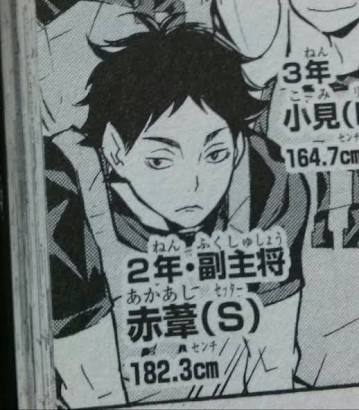 「ハイキュー!!」好きな人