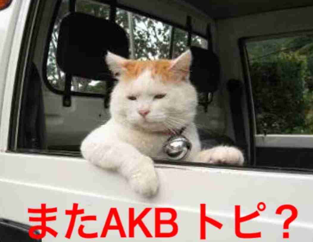 AKB48島崎遥香が貴重な金髪スタイルを披露 ロンブー田村淳も絶賛