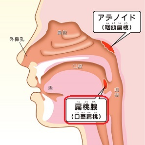 自分の身体の強い部分と弱い部分はどこですか？