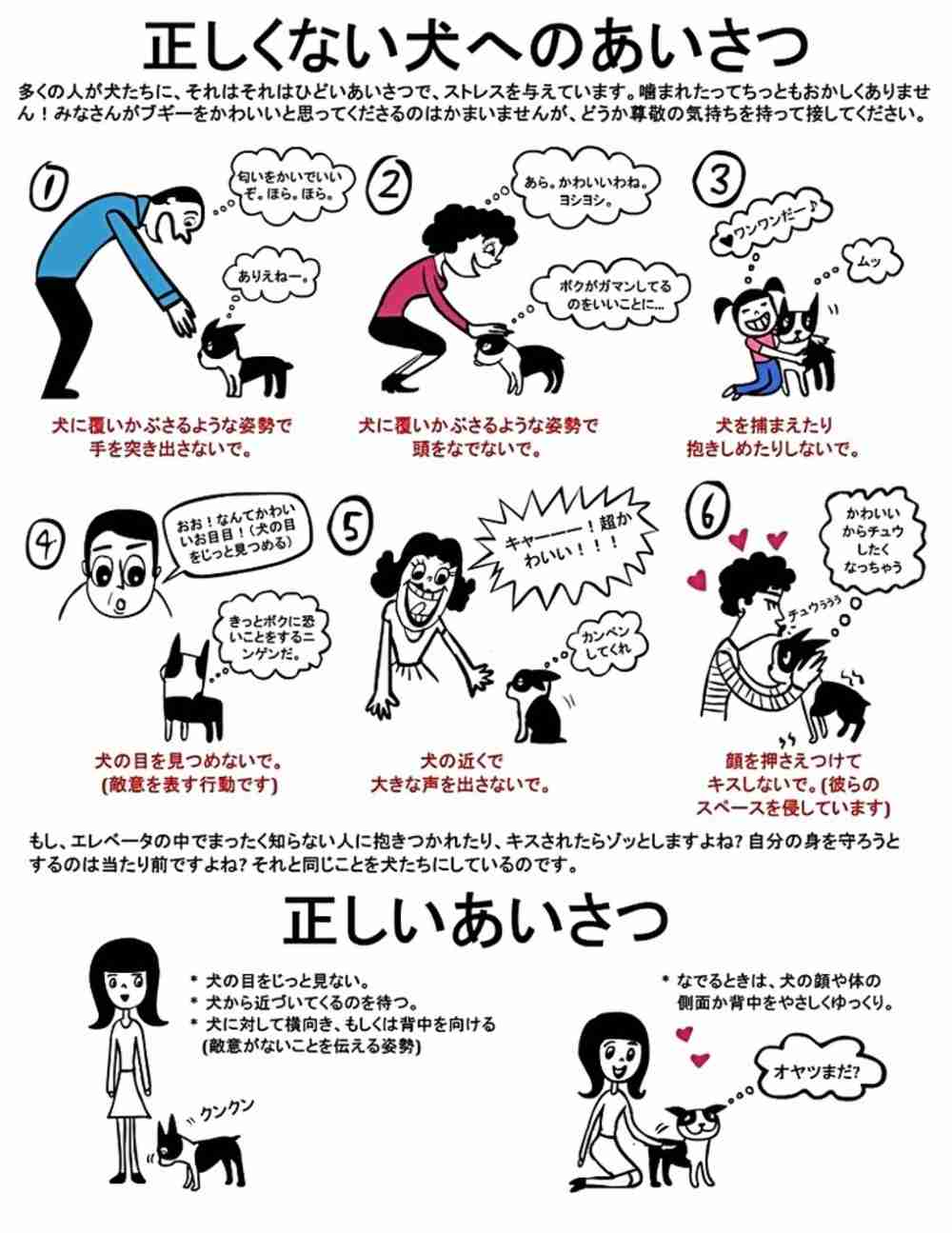 猫派ですか？犬派ですか？