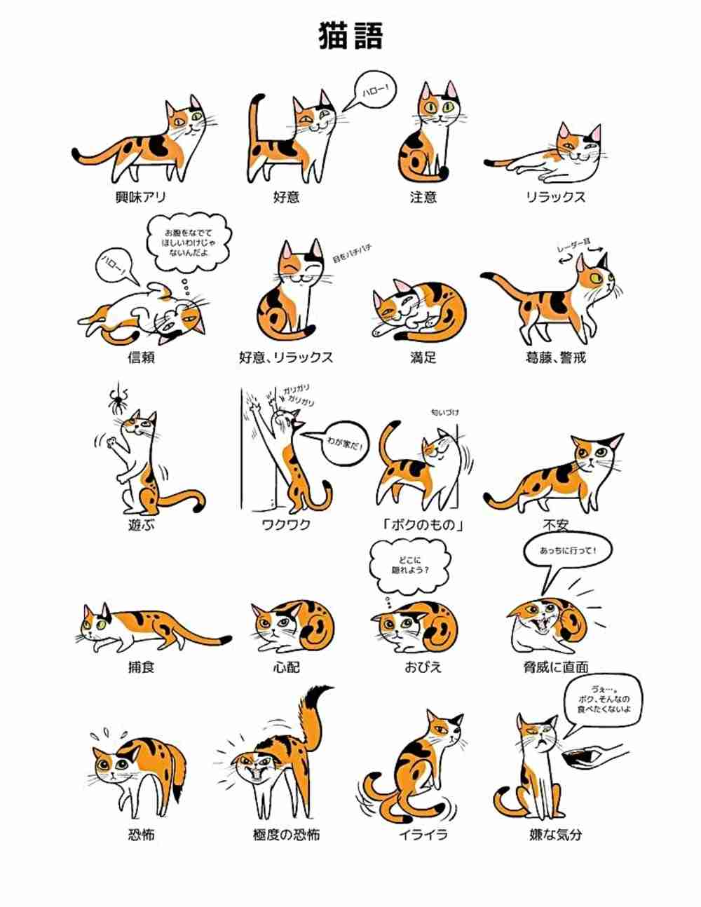 猫派ですか？犬派ですか？