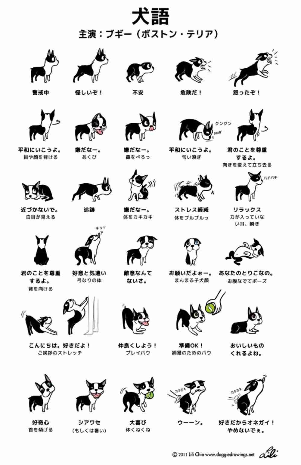猫派ですか？犬派ですか？