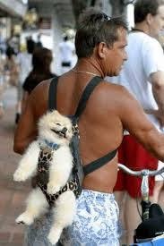 猫派ですか？犬派ですか？