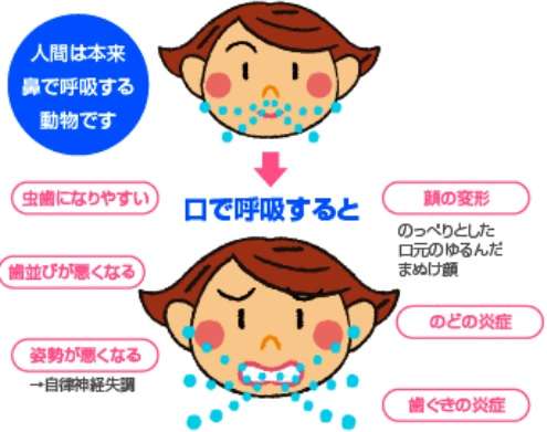 人の歯気になりますか？