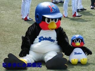 最近 コレに癒されてます。