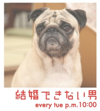 ブサかわ犬好きな方。