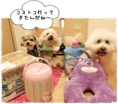 ☆2016☆コストコおすすめ商品