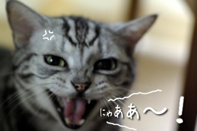 誰かのコメントに返事を書くトピ