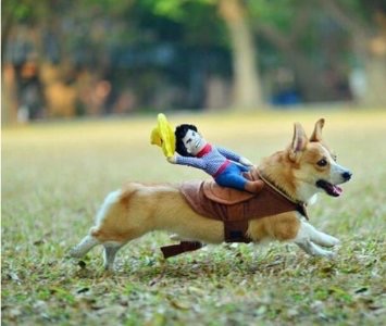 誰かのコメントに返事を書くトピ
