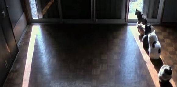 誰かのコメントに返事を書くトピ