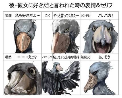 定番じゃない動物画像を貼ろう