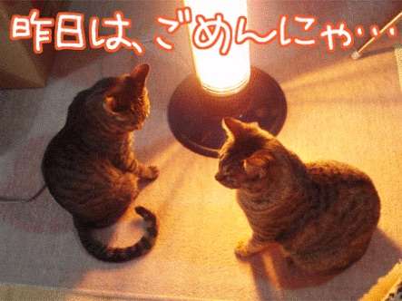 旦那・彼氏と喧嘩したとききちんと仲直りできますか？