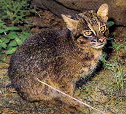 2つのヒントで連想する観光地
