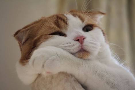 misonoが吉木りさにケンカを売る「何なんアンタ? ウチ嫌いやわ!」