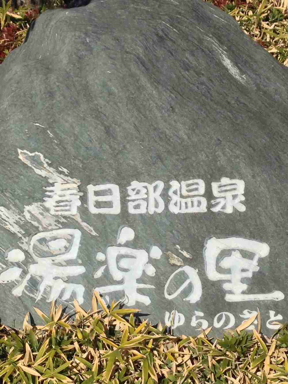同居してる人、どうやってストレス解消してますか？