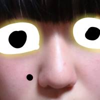 だんご鼻でも可愛い芸能人