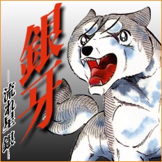 好きだった&懐かしい漫画は?