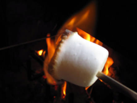 焼き菓子の画像が集まるトピ
