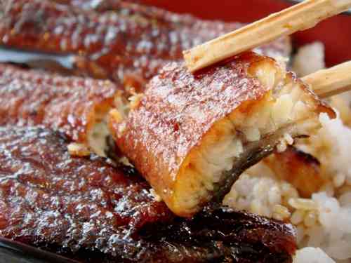 お昼だけど、これ食べたい？食べたくない？