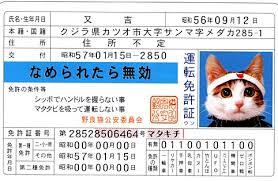 運転免許証の写真映り、どうですか？