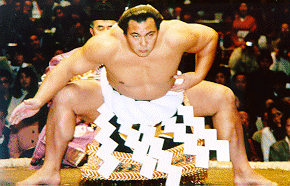 【大相撲・三月場所】次の優勝は誰だ？優勝してほしい力士を応援しよう！