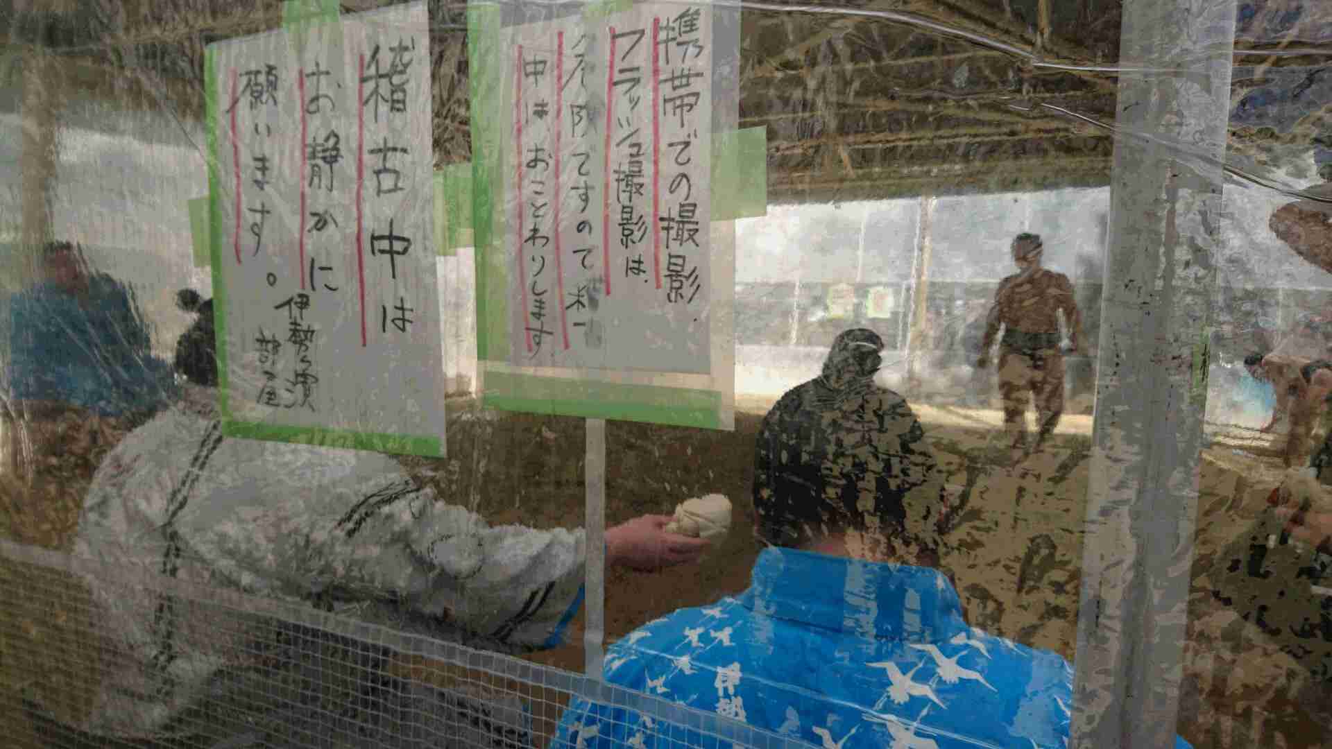 【大相撲・三月場所】次の優勝は誰だ？優勝してほしい力士を応援しよう！