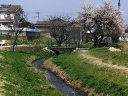 住むなら海の近く？山の近く？