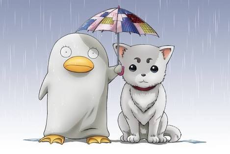 みなさんのペットを見せてください！