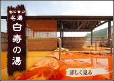 おすすめの埼玉旅行！