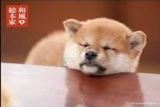 【ガルちゃん民分布】　各都道府県に、どれくらいのガルちゃん民が住んでいるかチェック！