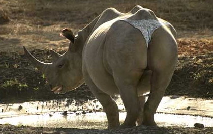 東京都民が集まるトピ