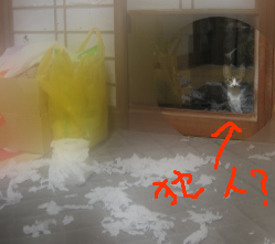 家で起きたちょっとだけ怖い出来事